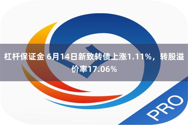 杠杆保证金 6月14日新致转债上涨1.11%，转股溢价率17.06%