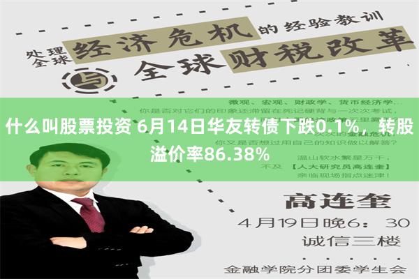 什么叫股票投资 6月14日华友转债下跌0.1%，转股溢价率86.38%