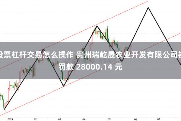 股票杠杆交易怎么操作 贵州瑞屹晟农业开发有限公司被罚款 28000.14 元