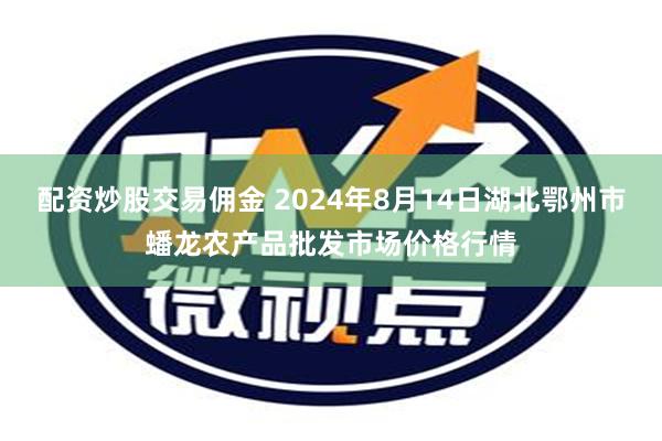 配资炒股交易佣金 2024年8月14日湖北鄂州市蟠龙农产品批发市场价格行情