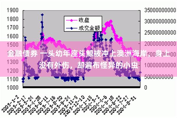 金融债券 一头幼年座头鲸被冲上澳洲海岸，身上没有外伤，却遍布怪异的小虫