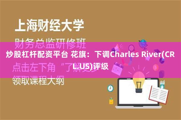 炒股杠杆配资平台 花旗：下调Charles River(CRL.US)评级