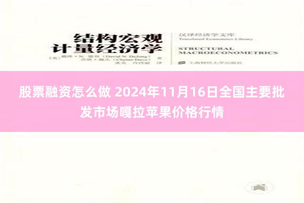 股票融资怎么做 2024年11月16日全国主要批发市场嘎拉苹果价格行情