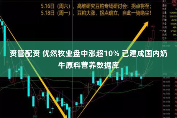 资管配资 优然牧业盘中涨超10% 已建成国内奶牛原料营养数据库