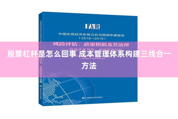 股票杠杆是怎么回事 成本管理体系构建三线合一方法